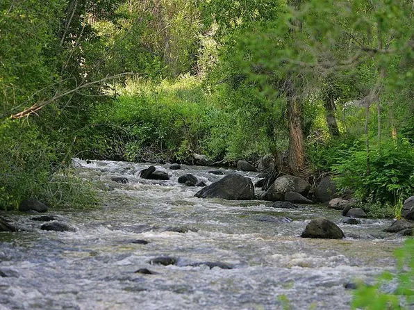 580 SE Stonebridge Dr, Cedaredge, CO 81413