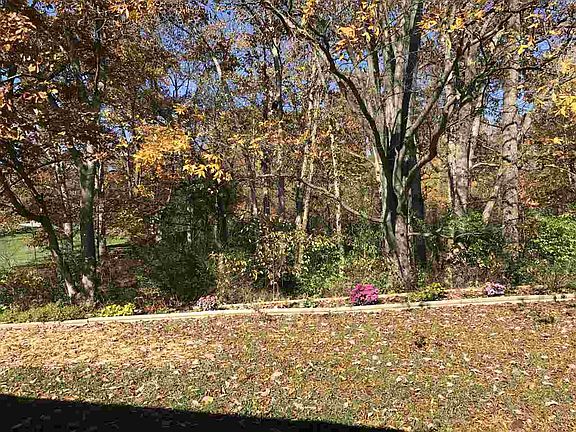 3rd image of 1546 W Petal Ct