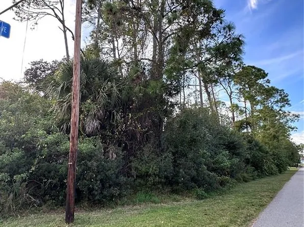 LOT 19 Broad Ave Lot 19, North Pt, FL 34286