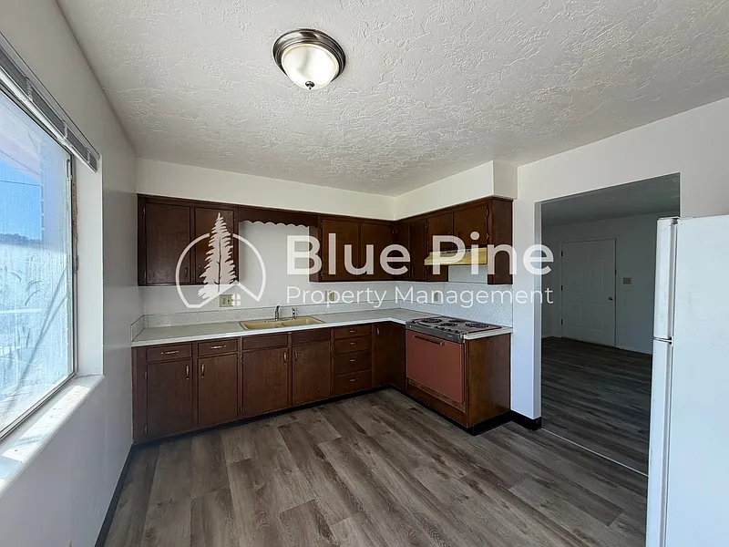 2 bed, 1.0 bath, 800 sqft, $950 — Photo 3