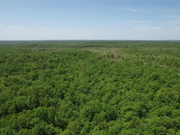 0 Off Cres #203, Glenallen, MO 63751