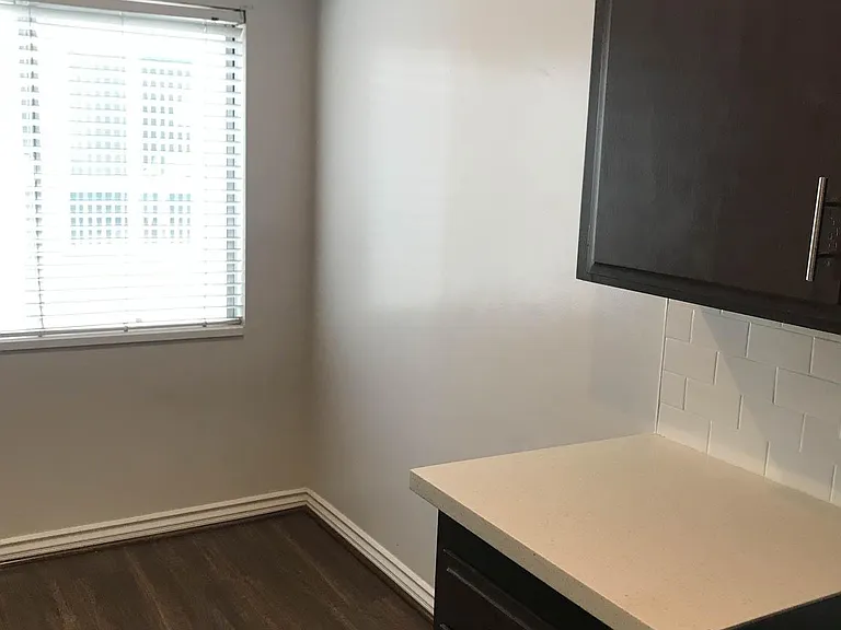 1126 N Central Ave #202 — Photo 22