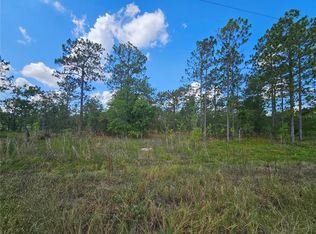 SE 73rd Ln LOT 53, Morriston, FL 32668