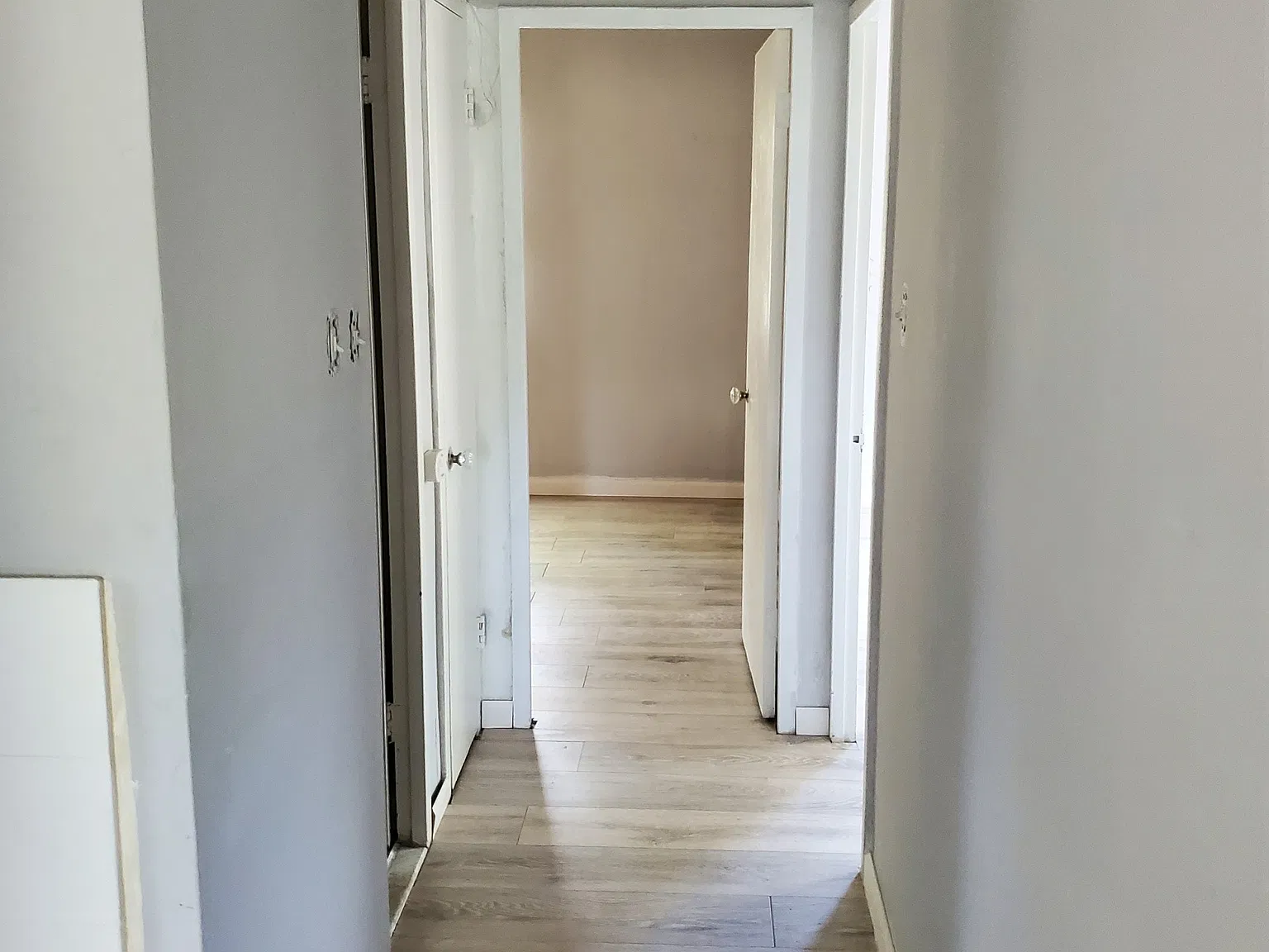 2 bed, 1000 sqft, $1,200 — Photo 3