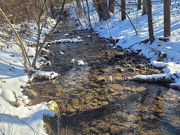 2nd image of 9629 Chester Furnace Rd