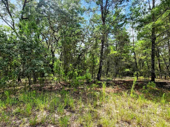 209 Lemon St, Pomona Park, FL 32181