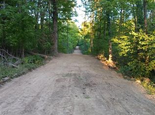 8123 Vandemark Rd, Lodi, OH 44254