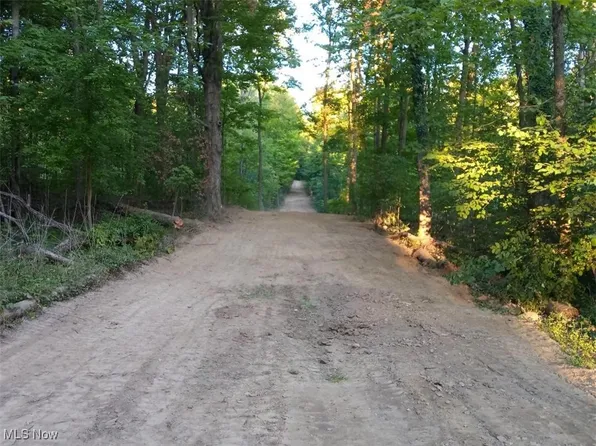 8123 Vandemark Rd, Lodi, OH 44254