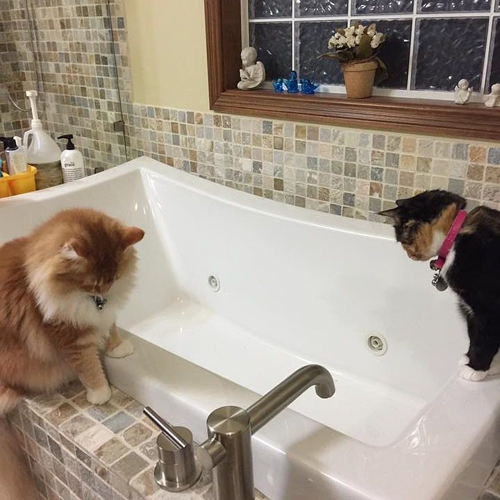 Heated Jacuzzi in master bat