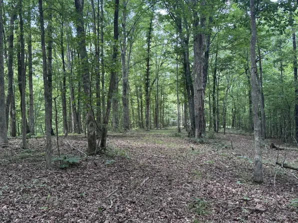 0 Jack Saunders Rd, Waverly, TN 37185