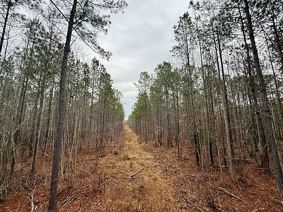5th image of 619 Jeff White Rd