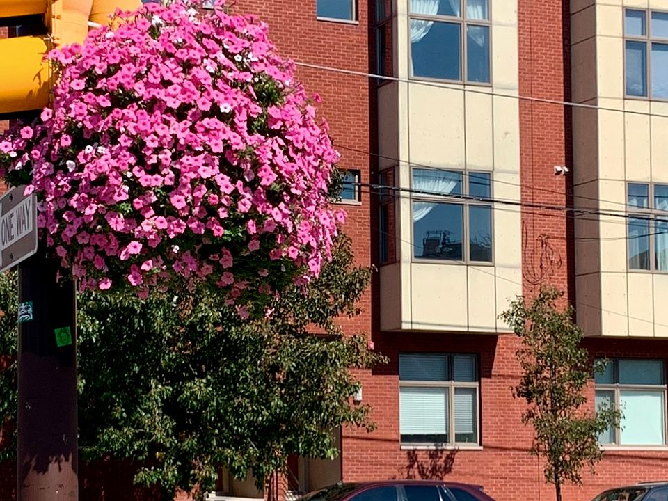 1st image of 1535 Fairmount Ave #2F