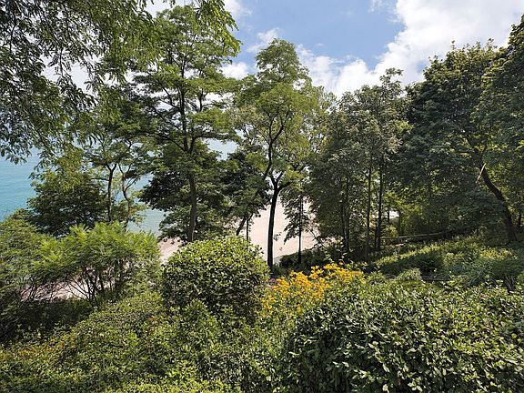 5th image of 80 Wentworth Ave