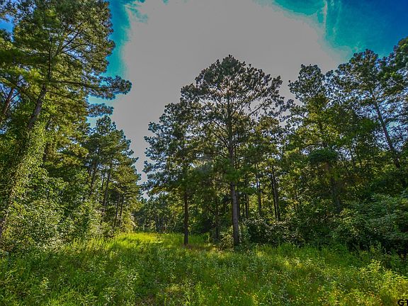 5th image of TRACT 16 County Road 4224