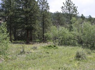 412 W Creek Rd, Glen Haven, CO 80532