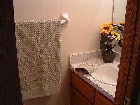 Downstairs Bathroom