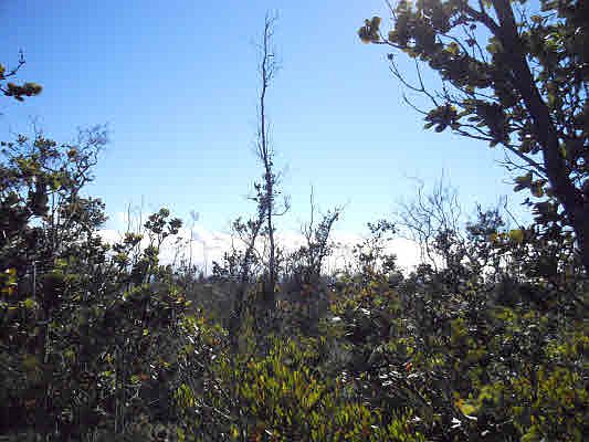 2nd image of Paradise Pkwy Lot 14