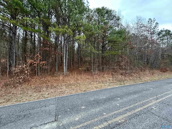 285/ACRE S County Road 686, Cedar Bluff, AL 35959