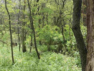 6259 E 1200 S, Clarks Hill, IN, 47930