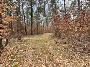 0 Nye Rd, Rose City, MI 48654