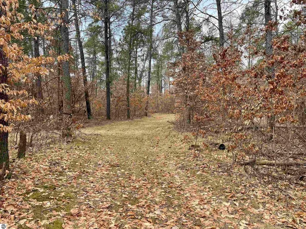 0 Nye Rd, Rose City, MI 48654