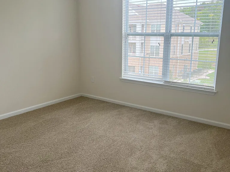 Belmont at Tryon Apartments — Photo 151