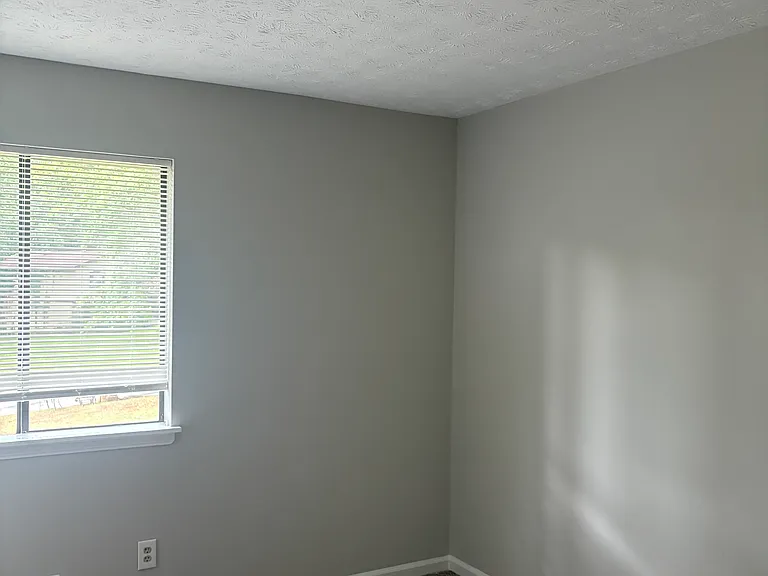 5015 Haley Ct — Photo 4