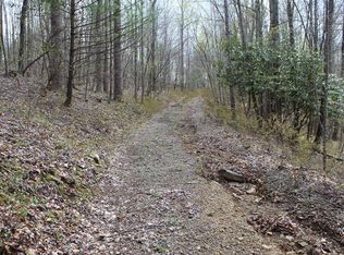 5254 Buffalo Mountain Rd SW, Willis, VA 24380