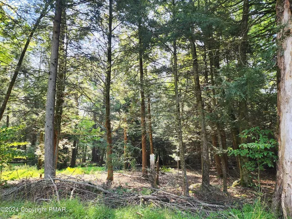 35 Laurel Ln, Albrightsville, PA 18210