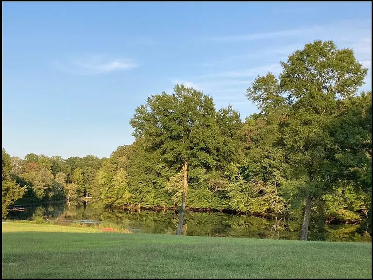 1795 Ed Clapp Rd — Photo 18