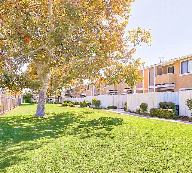 Cerro Vista Apartments — Photo 39