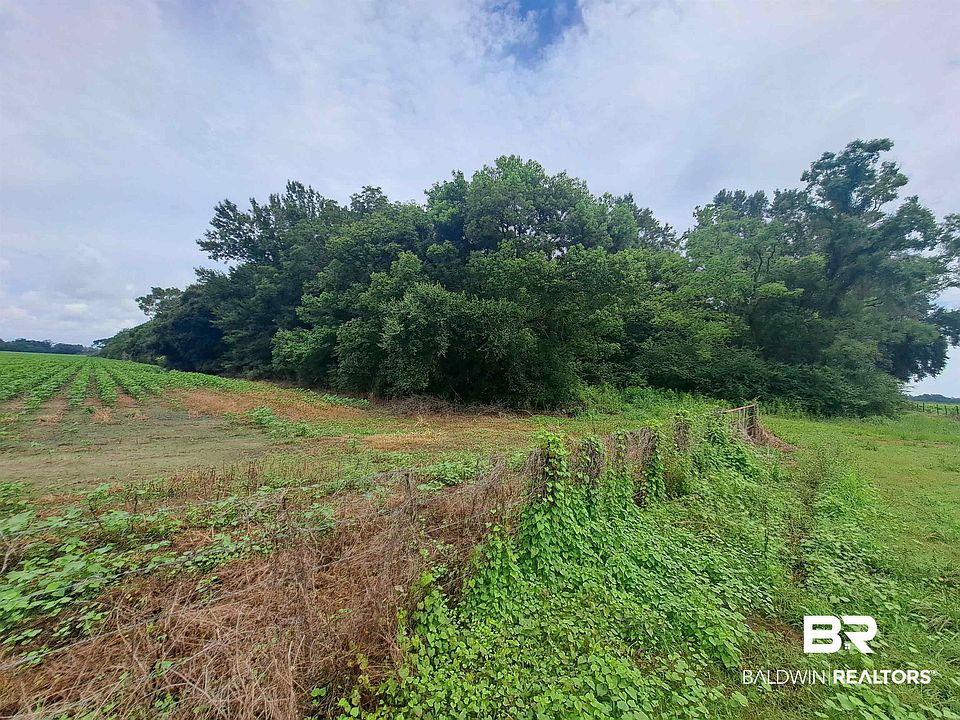 2nd image of 12245 Henderson Camp Rd