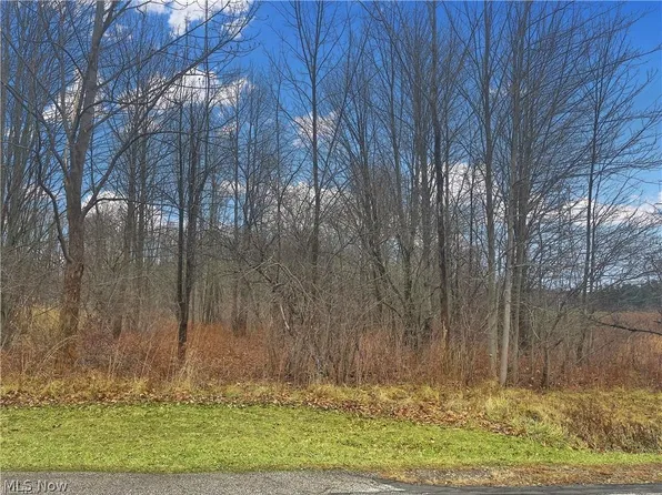 10430 Meadowhurst Ln, Chardon, OH 44024