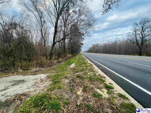 3131 Highway 301 S, Latta, SC 29565