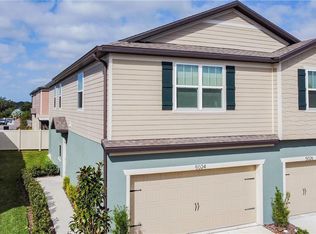 5024 Blue Latan Ln, Tampa, FL 33610