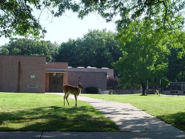 ACROSS OF THE MIDDLE SCHOOL