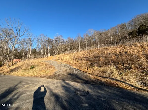 4145 Cooks Landing Rd, Kingsport, TN 37664