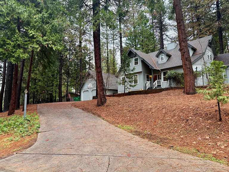11551 Forest View Dr — Photo 2