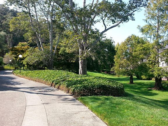 3rd image of 2323 Shelter Creek Ln