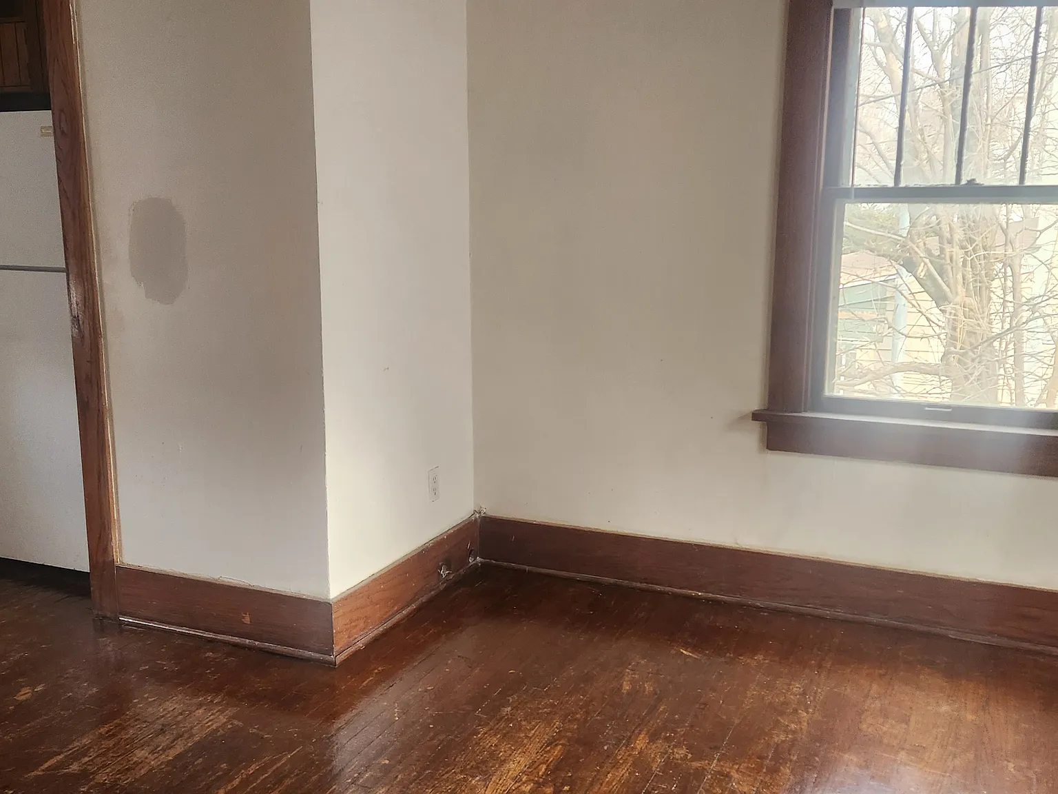 1 bed, 350 sqft, $675 — Photo 4