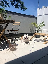 Rented by RBM Management