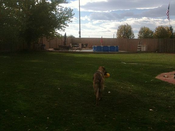 Nicely landscaped backyard