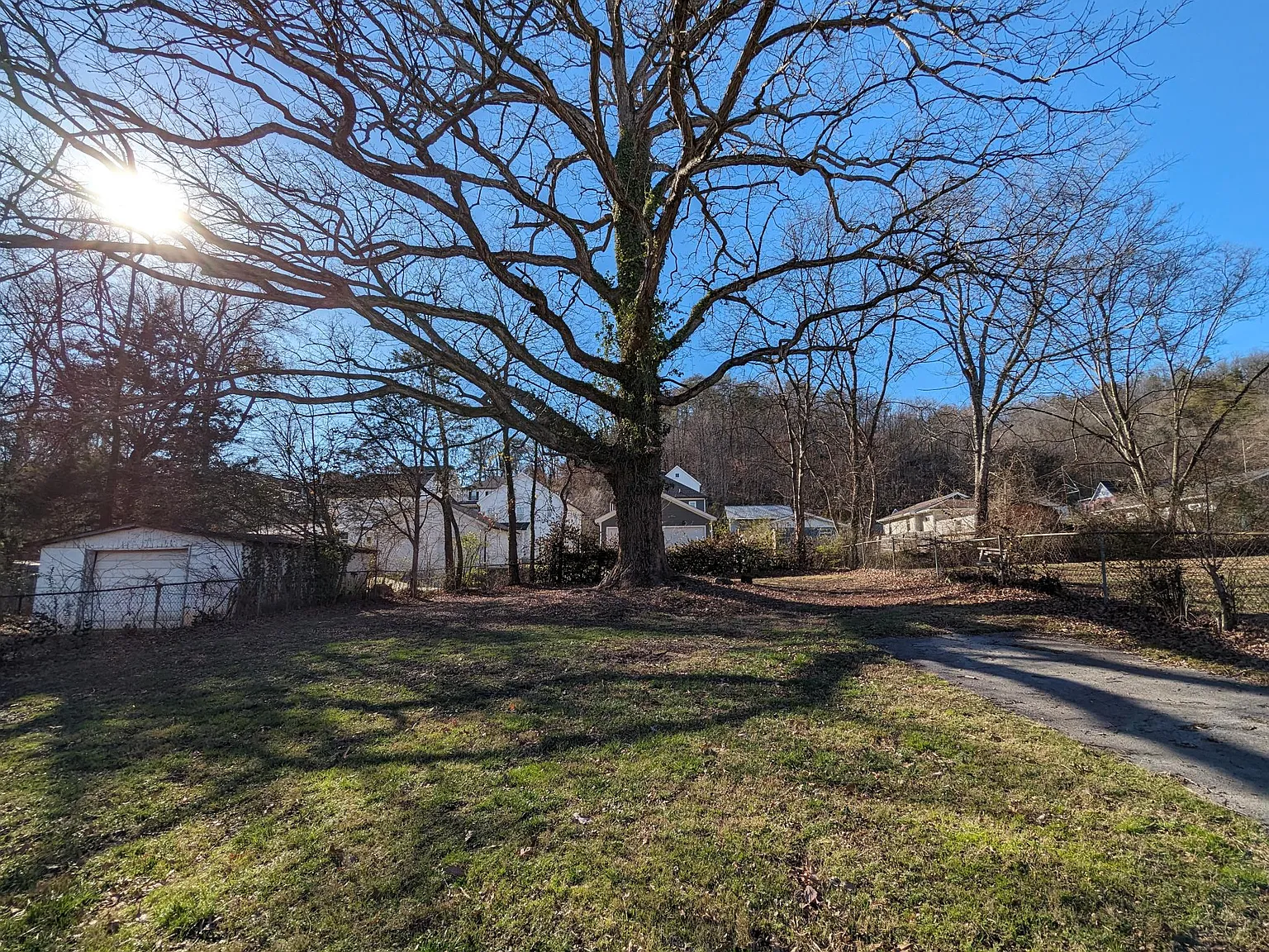 3 bed, 1391 sqft, $2,295 — Photo 2