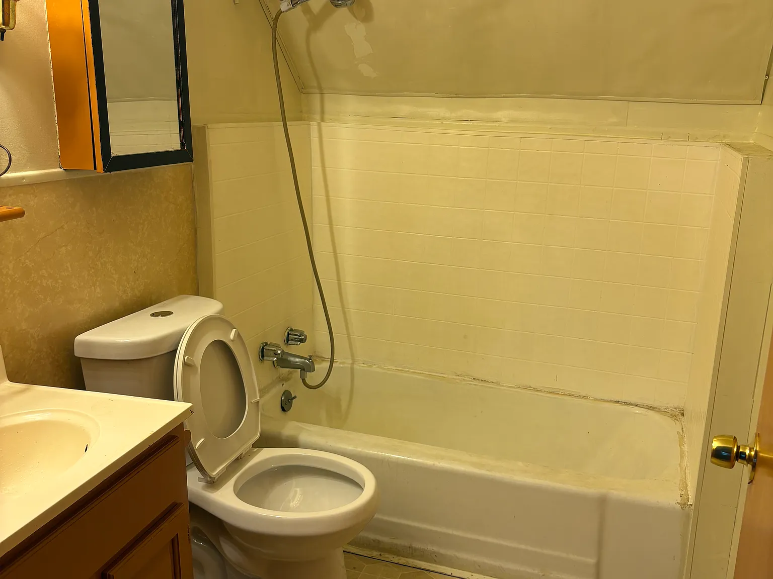 2 bed, $800 — Photo 4