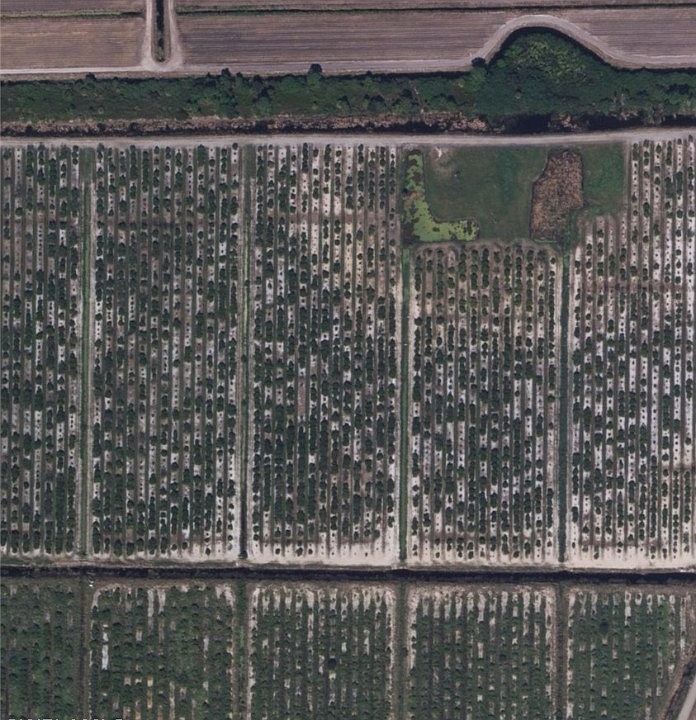 2nd image of 6895 7th Rd