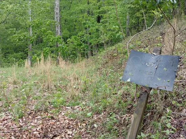 L-106 Brasstown Rd, Brasstown, NC 28902