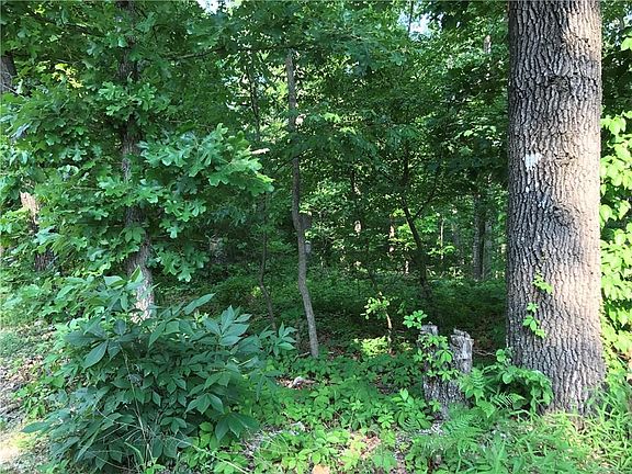 4th image of Andover Ln