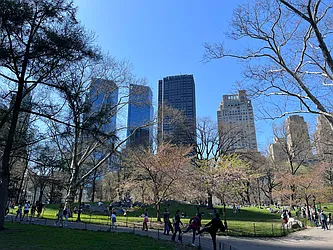 Rented by Jade Stone Real Estate Consulting