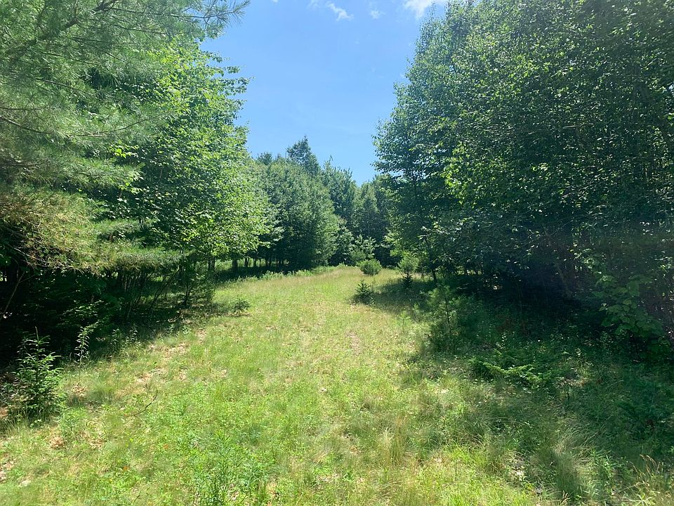 2nd image of Lot 1 & 2 Richardson Road