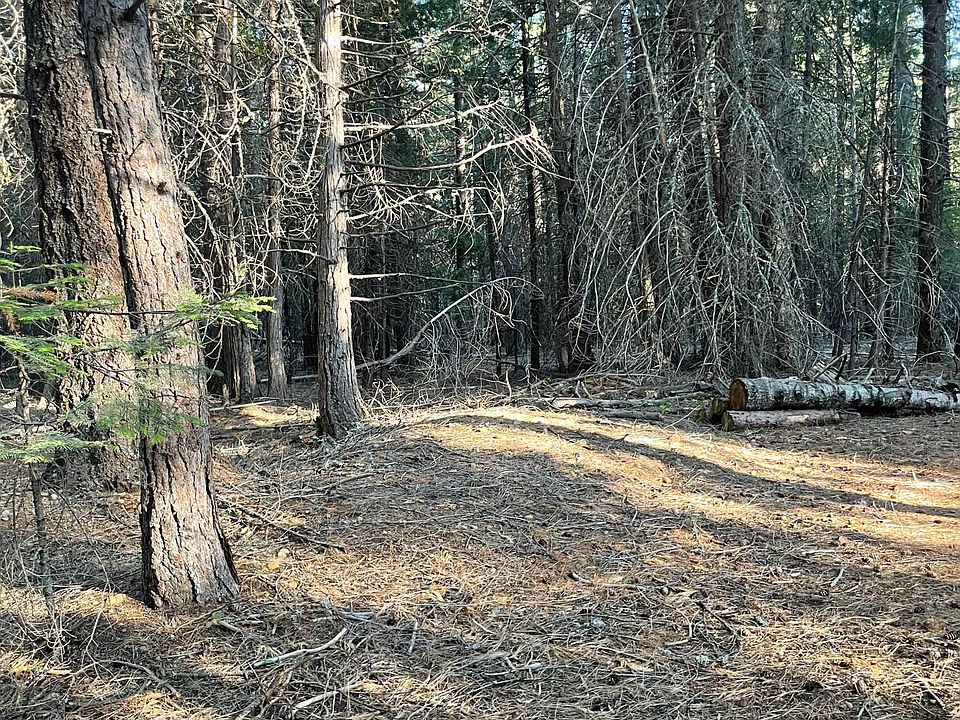 1st image of Shenandoah Dr